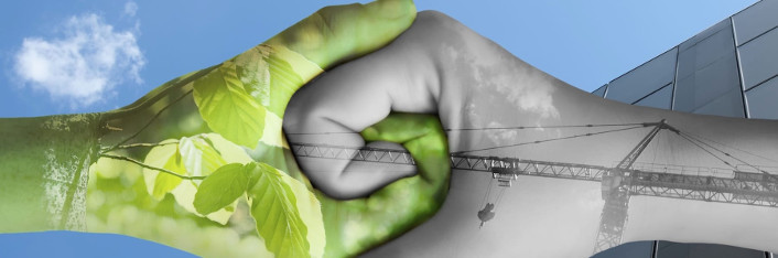 Консультирование и обслуживание организаций в сфере экологии